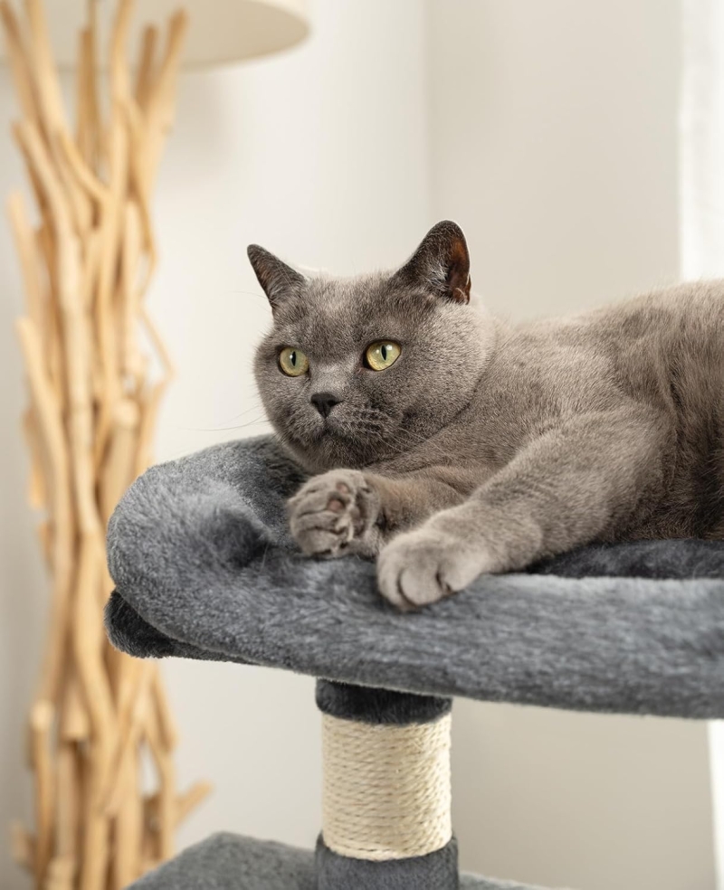 Árbol rascador para gatos resistente lionto gris oscuro 80 cm - vista 7