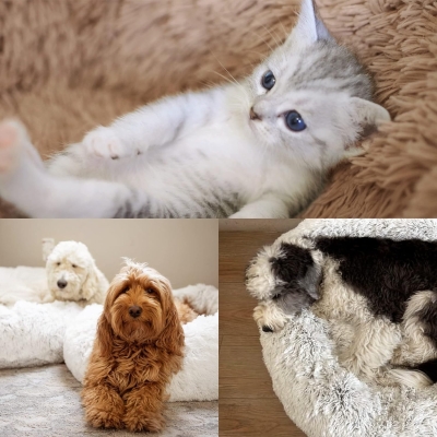 Cama relajante Bedsure para gato y perro pequeño con felpa suave, 50x50 cm