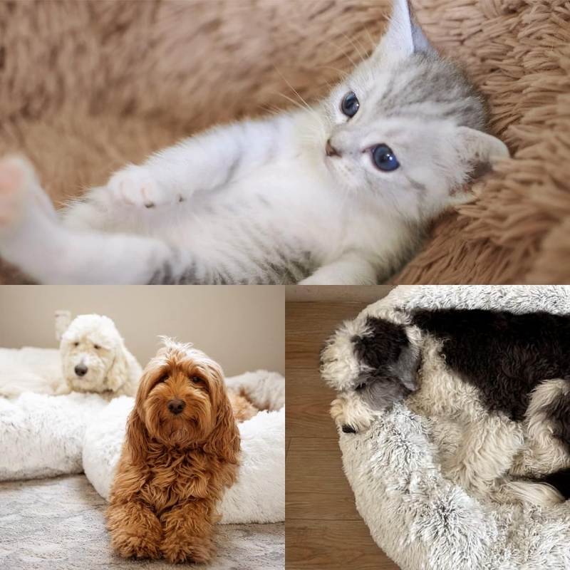 Cama relajante Bedsure para gato y perro pequeño con felpa suave, 50x50 cm