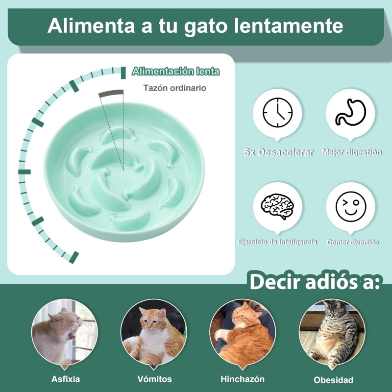 Comedero gato antivoracidad de cerámica menta verde 16 x 3 cm - característica 4