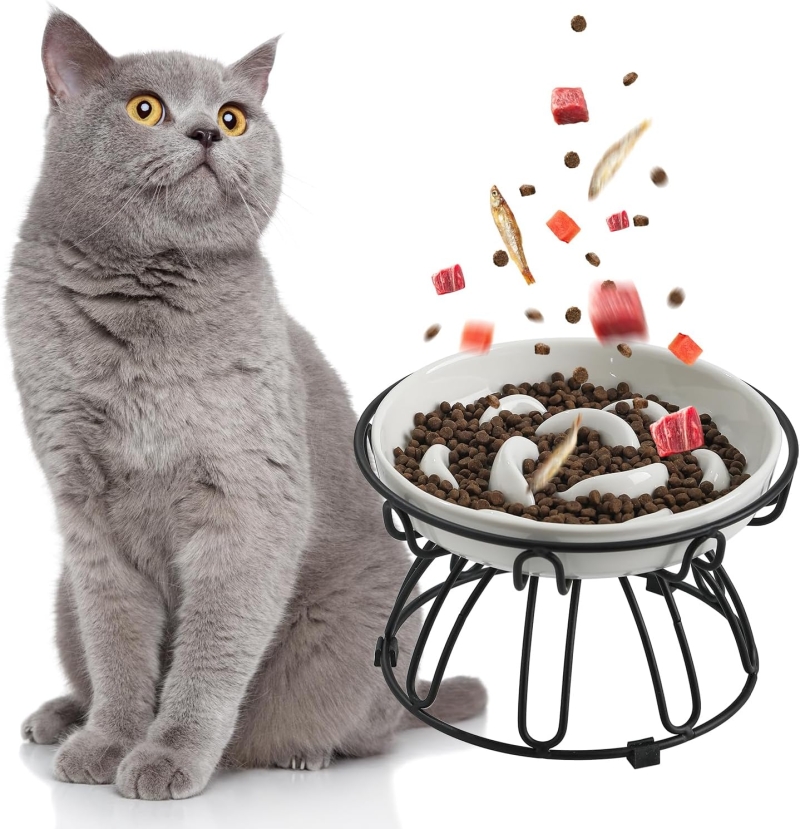 comedero gato antivoracidad elevado - Comedero gato antivoracidad elevado con soporte metálico antideslizante
