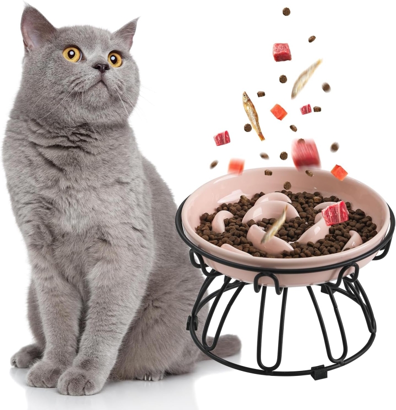 comedero para gato antivoracidad elevado - Comedero para gato antivoracidad elevado con soporte metálico antideslizante