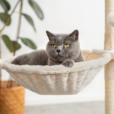 Hamaca felpa suave para gatos lionto beige 40 cm diámetro y 15 cm profundidad - característica 4