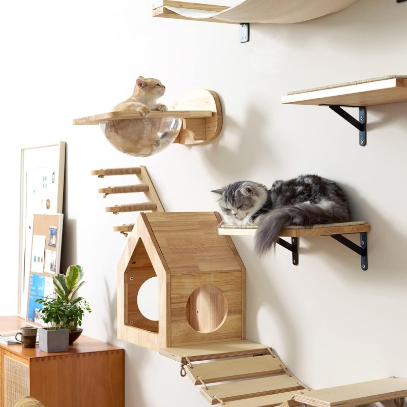 Pared de escalada para gatos Fukumaru con cápsula transparente y pedales