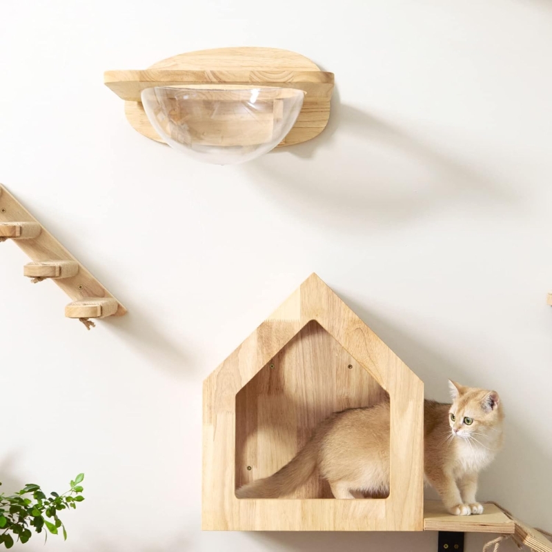 Pared de escalada para gatos Fukumaru con cápsula transparente y pedales