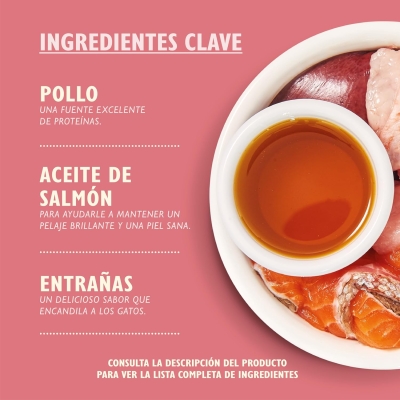 Paté suave para gatito Lily's Kitchen de pollo y ternera (19 x 85 g) - característica 4